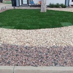 Grass sod and rock landscape surround a tree