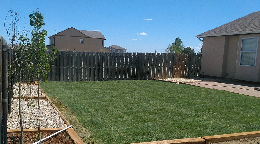 Sod Landscaping